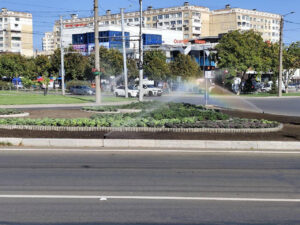 Circa 8 milioane de lei pentru sisteme de irigare și lucrări dendrologice pe bd. Decebal